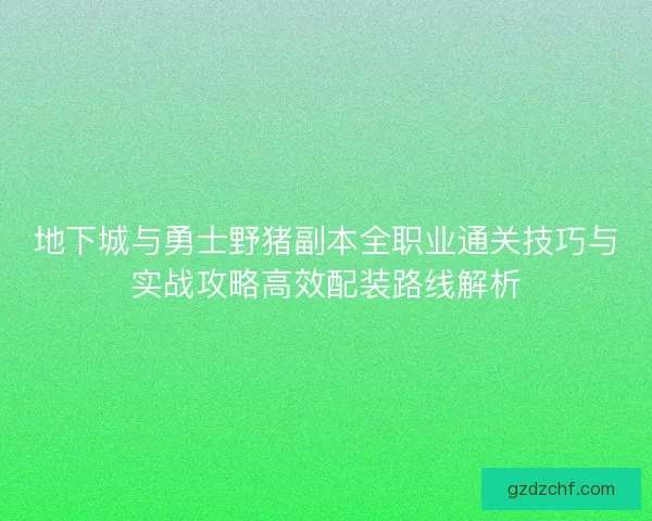 地下城与勇士野猪副本全职业通关技巧与实战攻略高效配装路线解析