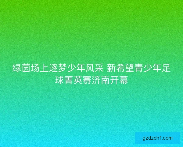 绿茵场上逐梦少年风采 新希望青少年足球菁英赛济南开幕 绿茵场上逐梦少年风采 新希望青少年足球菁英赛济南开幕